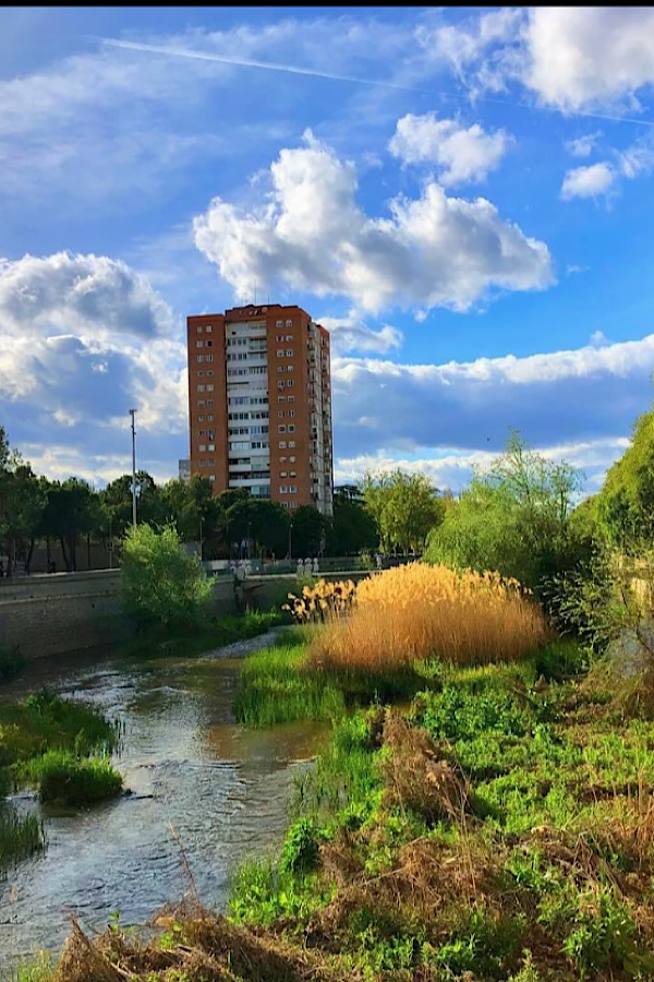 Haus am Fluss in Madrid